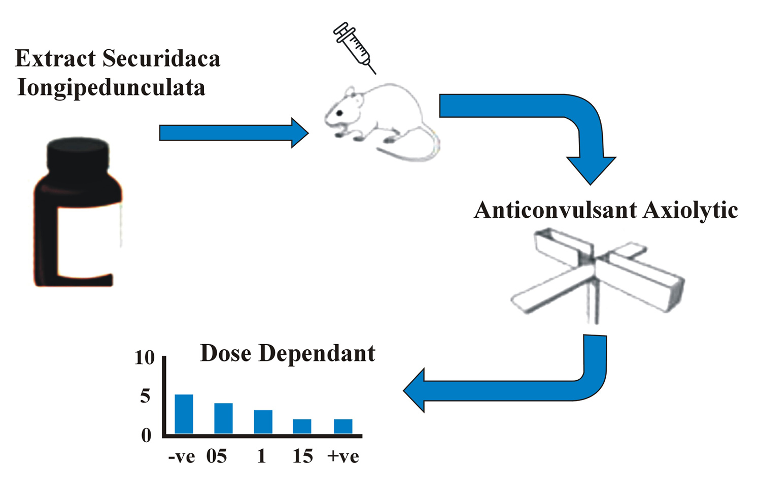 Graphical Abstract
